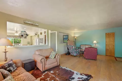 Living - 10450 Walnut Grove Rd, Thornton, CA 95686 photo 3 of 5
