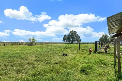 Exterior - 10450 Walnut Grove Rd, Thornton, CA 95686 photo 21 of 21