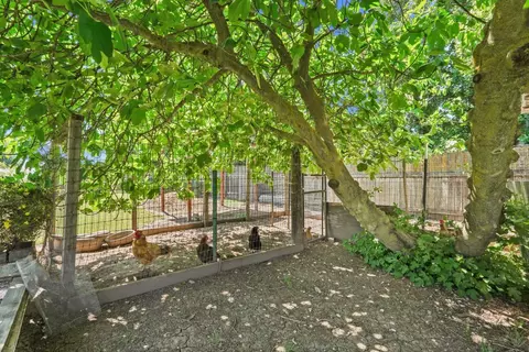 Exterior - 10450 Walnut Grove Rd, Thornton, CA 95686 photo 14 of 21