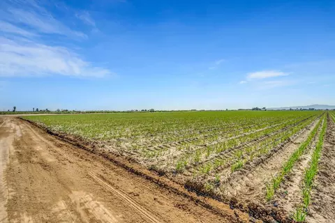 6500 Delta, Tracy, CA 95304 photo 39