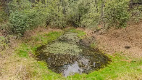 Other - 12511 Tabeaud Rd, Pine Grove, CA 95665 photo 22 of 29