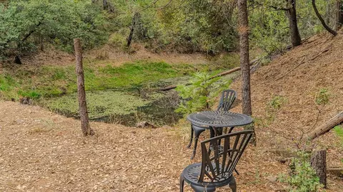 Exterior - 12511 Tabeaud Rd, Pine Grove, CA 95665 photo 15 of 23