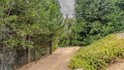 Exterior - 12511 Tabeaud Rd, Pine Grove, CA 95665 photo 5 of 23