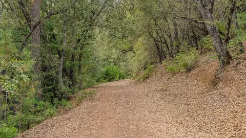 Other - 12511 Tabeaud Rd, Pine Grove, CA 95665 photo 19 of 29