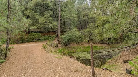 Exterior - 12511 Tabeaud Rd, Pine Grove, CA 95665 photo 16 of 23