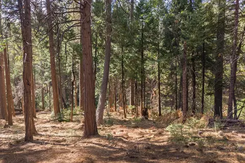 Other - 2845 Murphys Dr, Arnold, CA 95223 photo 9 of 10