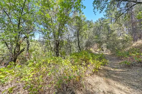 0 Browns Rd, Placerville, CA 95667 photo 16