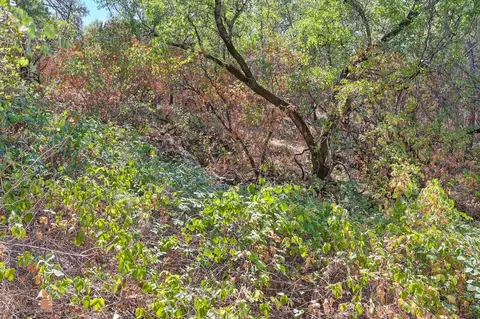 0 Browns Rd, Placerville, CA 95667 photo 21