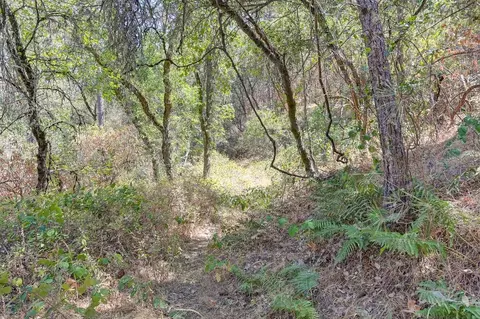 0 Browns Rd, Placerville, CA 95667 photo 24