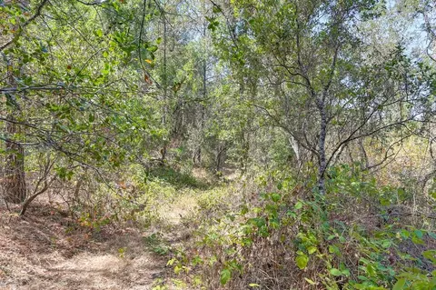 0 Browns Rd, Placerville, CA 95667 photo 18