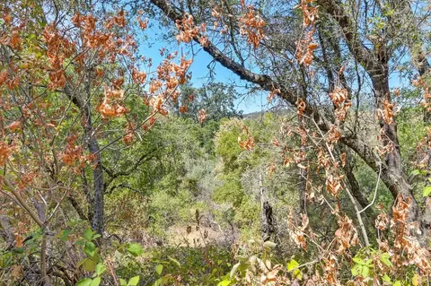 0 Browns Rd, Placerville, CA 95667 photo 13