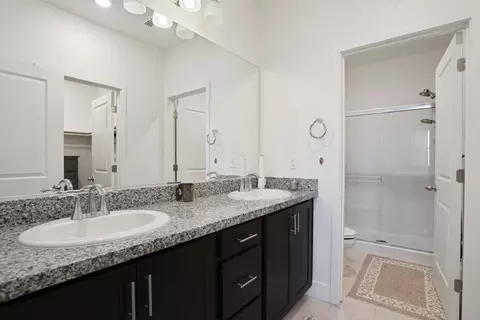 Bath - 865 Tern Dr, Lathrop, CA 95330 photo 2 of 3
