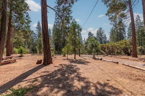 Exterior - 19155 Pine Dr, Pioneer, CA 95666 photo 19 of 43