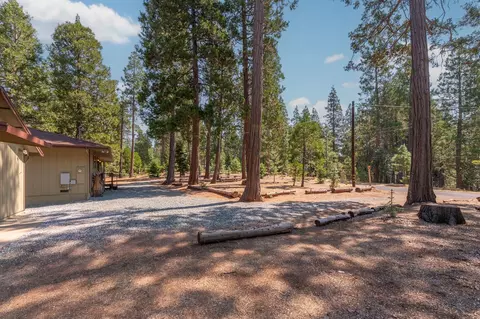 Exterior - 19155 Pine Dr, Pioneer, CA 95666 photo 17 of 43