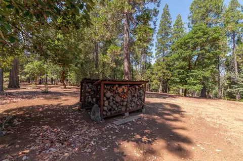 Exterior - 19155 Pine Dr, Pioneer, CA 95666 photo 21 of 43