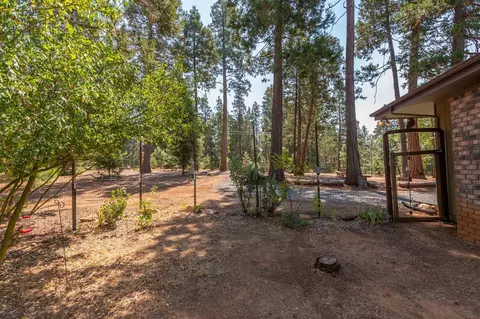 Exterior - 19155 Pine Dr, Pioneer, CA 95666 photo 32 of 43