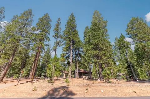 Exterior - 19155 Pine Dr, Pioneer, CA 95666 photo 14 of 43
