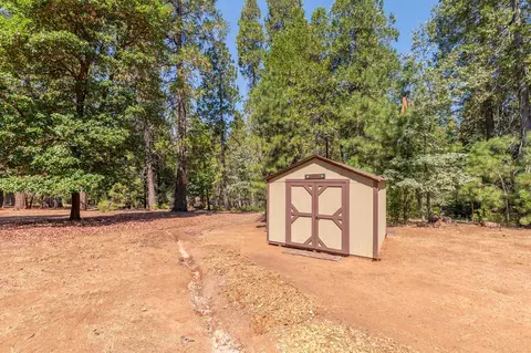 Exterior - 19155 Pine Dr, Pioneer, CA 95666 photo 27 of 43