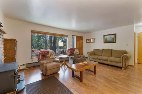 Living - 19155 Pine Dr, Pioneer, CA 95666 photo 3 of 6