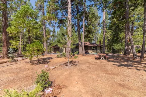 Exterior - 19155 Pine Dr, Pioneer, CA 95666 photo 12 of 43