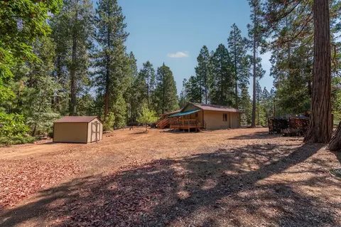Exterior - 19155 Pine Dr, Pioneer, CA 95666 photo 23 of 43