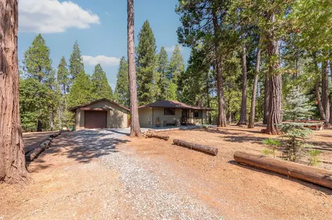 Exterior - 19155 Pine Dr, Pioneer, CA 95666 photo 16 of 43