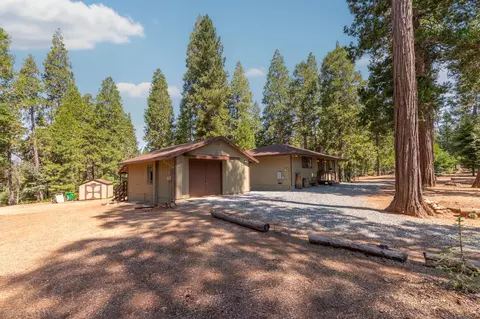 Exterior - 19155 Pine Dr, Pioneer, CA 95666 photo 18 of 43
