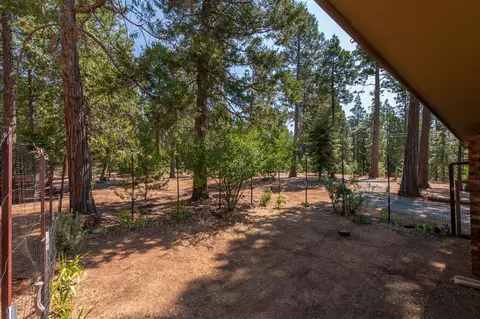 Exterior - 19155 Pine Dr, Pioneer, CA 95666 photo 30 of 43