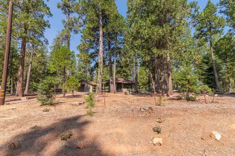 Exterior - 19155 Pine Dr, Pioneer, CA 95666 photo 15 of 43
