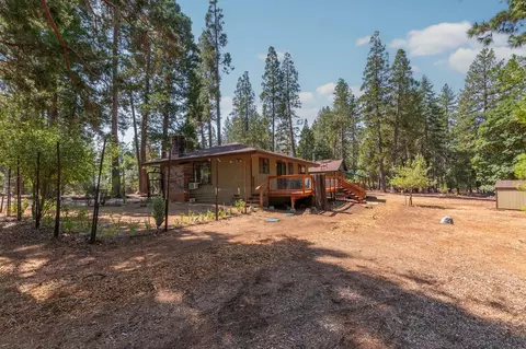 Exterior - 19155 Pine Dr, Pioneer, CA 95666 photo 33 of 43