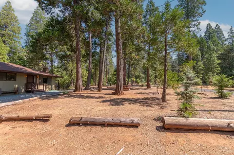 Exterior - 19155 Pine Dr, Pioneer, CA 95666 photo 3 of 43