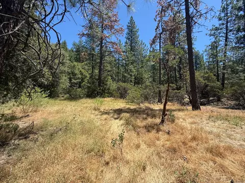 20710 Chalk Bluff Rd, Grass Valley, CA 95945 photo 8