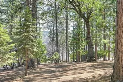 Exterior - 5301 Overland Way, Placerville, CA 95667 photo 16 of 26