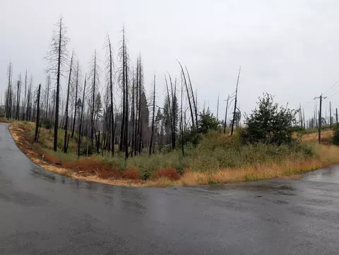 7290 Grizzly Creek Dr, Grizzly Flats, CA 95636