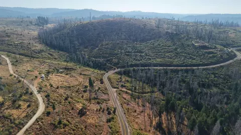 17 String Canyon Rd, Grizzly Flats, CA 95636