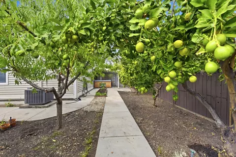 Exterior - 5905 Lucinda Ln, Carmichael, CA 95608 photo 8 of 11