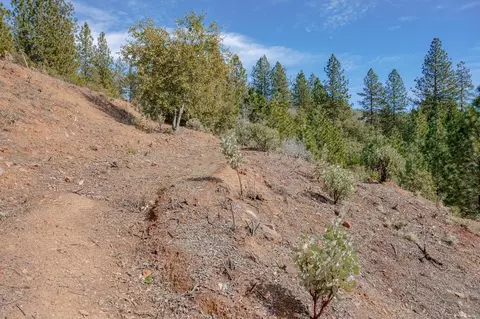 5776 Prospector Ln, Murphys, CA 95247 photo 13