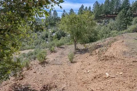 5776 Prospector Ln, Murphys, CA 95247 photo 17