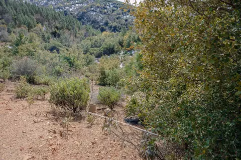 5776 Prospector Ln, Murphys, CA 95247 photo 20