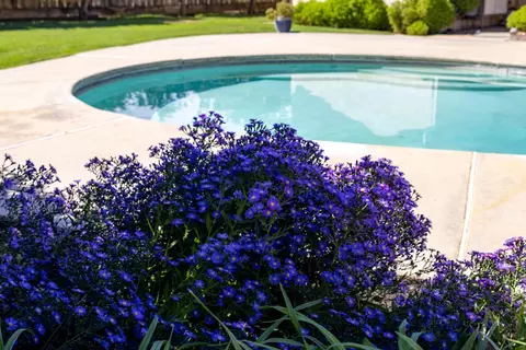 Exterior - 6400 Bearden Ln, Modesto, CA 95357 photo 8 of 13