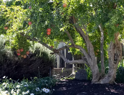 Exterior - 6400 Bearden Ln, Modesto, CA 95357 photo 6 of 13