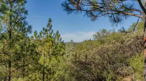 Other - 15545 Sutter Creek Rd, Sutter Creek, CA 95685 photo 19 of 21