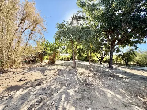 Exterior - 1322 N Central Ave, Modesto, CA 95351 photo 11 of 12