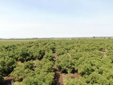 21797 N Devries Rd, Lodi, CA 95242 photo 5