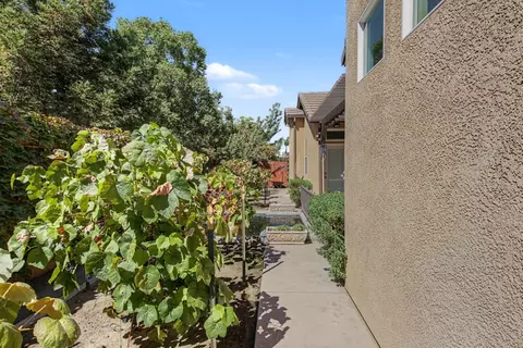 Exterior - 236 Preakness Cir, Manteca, CA 95337 photo 16 of 19