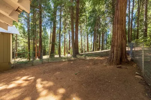 Exterior - 550 Caine Rd, Alta, CA 95701 photo 6 of 6