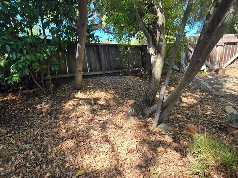 Exterior - 3213 Stanley Blvd, Lafayette, CA 94549 photo 3 of 5