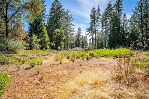 Exterior - 1340 Paymaster Mine Rd, Georgetown, CA 95634 photo 5 of 17