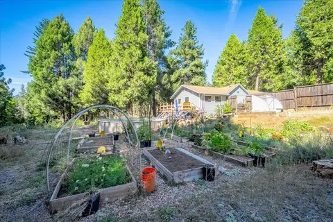Exterior - 1340 Paymaster Mine Rd, Georgetown, CA 95634 photo 12 of 17