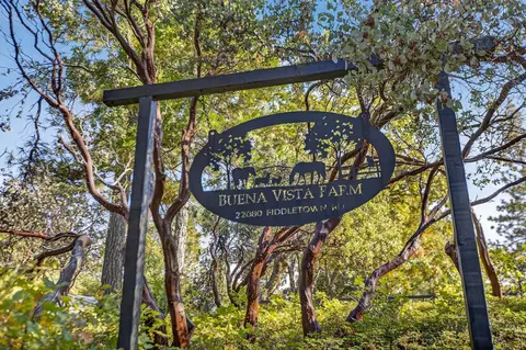 Other - 22080 Fiddletown Rd, Volcano, CA 95689 photo 14 of 19
